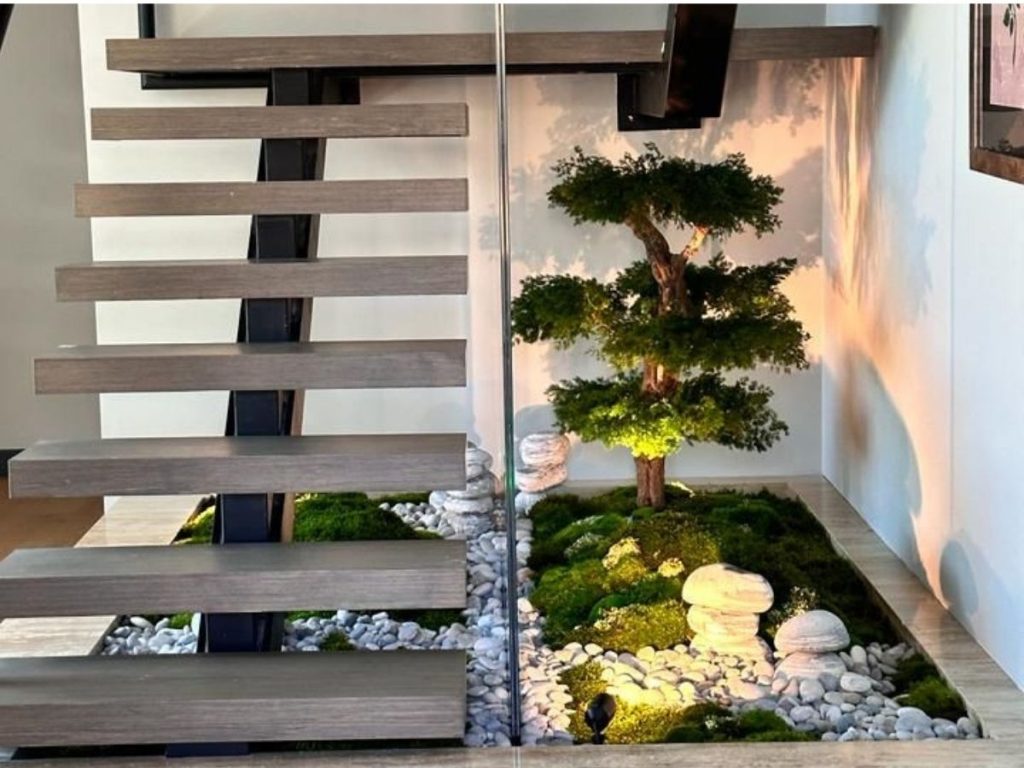 Dekoratif bonsai ağaç uygulaması