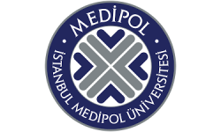 Yeni Proje